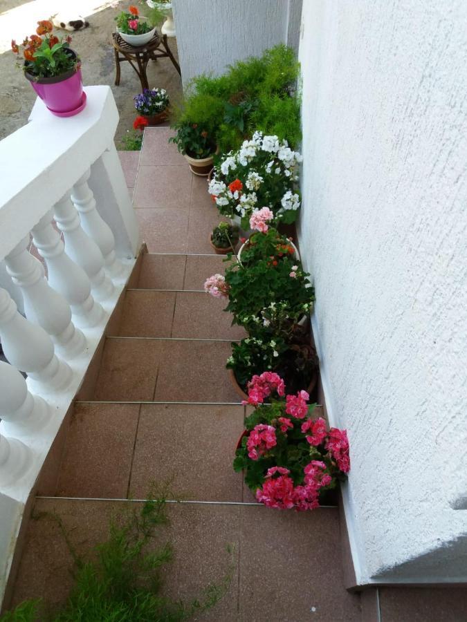 Apartman Sunce Raslina Exterior foto