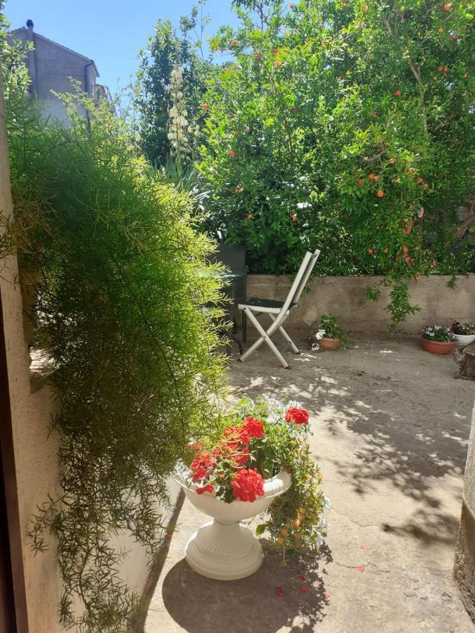 Apartman Sunce Raslina Exterior foto