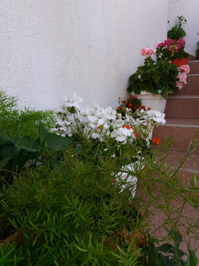 Apartman Sunce Raslina Exterior foto