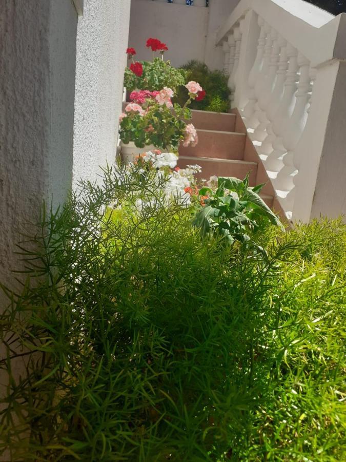 Apartman Sunce Raslina Exterior foto
