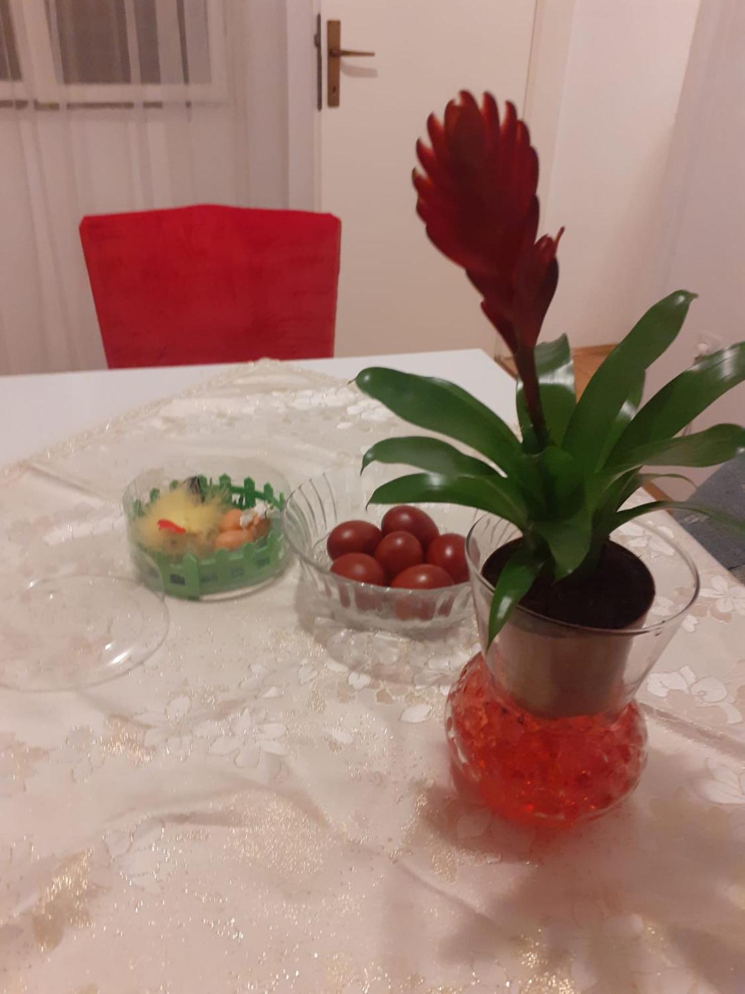 Apartman Sunce Raslina Exterior foto