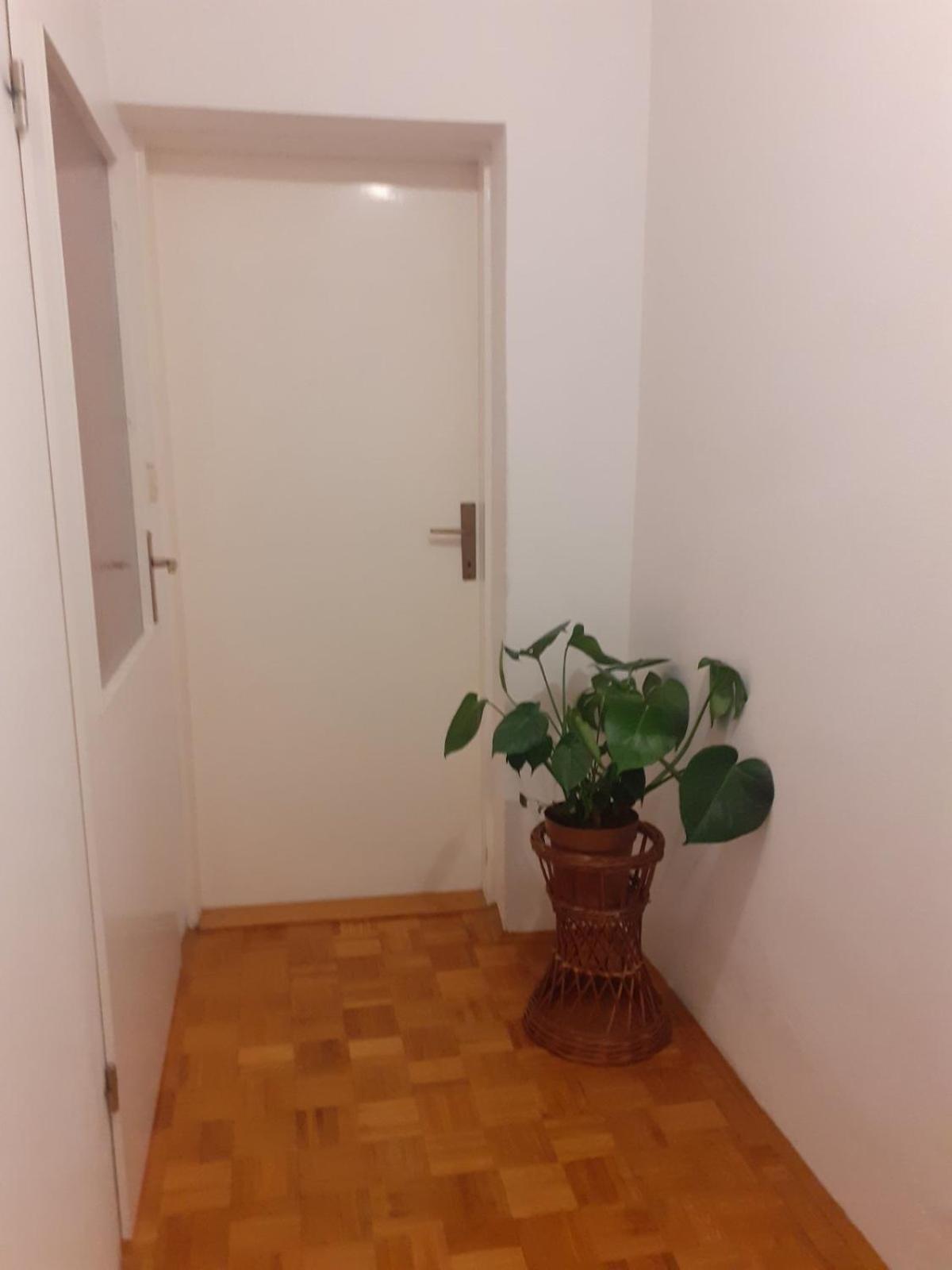 Apartman Sunce Raslina Exterior foto
