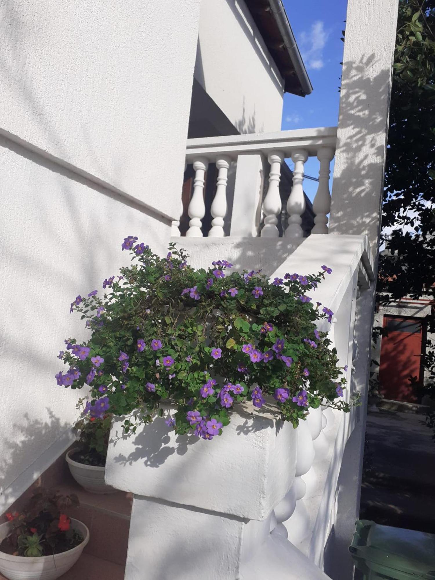 Apartman Sunce Raslina Exterior foto